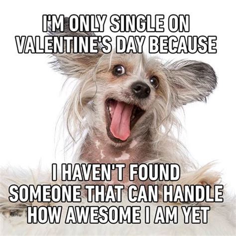 valentines pipette meme|funny valentine's day meme.